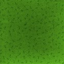 MLIVA_gogreen_PP1