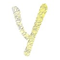 y