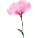 е15