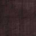 allstar_pp2