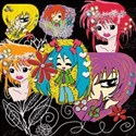 kitcover