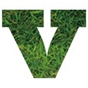 v