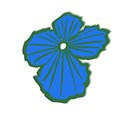 FLOR12