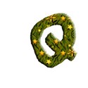 Q