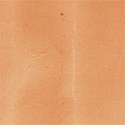 MLIVA_gemini_PP7