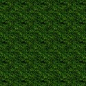 grass_back