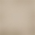 jennyL_4dboys_paper1a