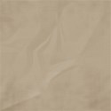 jennyL_funsummer_paper2