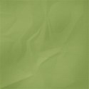 jennyL_funsummer_paper10