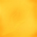 jennyL_funsummer_paper16