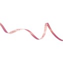 DZ_Beach_House_spiral_ribbon2