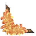 DS_TropicalBreeze_FlowerPhotoCorner
