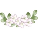 DSnow_TropicalBreeze_FlowerCluster (1)