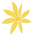DSnow_TropicalBreeze_FlowerSticker (1)