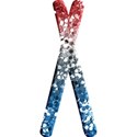 cc-USA-LowX