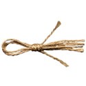 lisa-twine-ajs