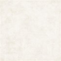 DZ_SummerShine_p4
