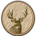 deer brad2