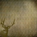 deer paper2