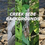 CREEK SIDE BACKGROUNDS CREEK SIDE BACKGROUNDS