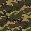 shoes-camo-green