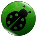 chapa verde