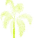 bkgd 32