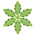 bos_gumdrops_flower05