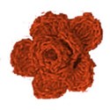 be grateful_burnt orange flower