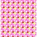 paper2