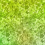 Floral Papers Floral Papers