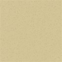 MLIVA_bd-PP9