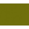 dark green oil 