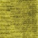 bos_sn_paper09