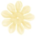 jss_timeforfall_big flower cream