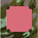 frame2