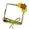 frame5