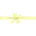 EOT_bow21