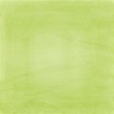 DZ_BabySafarigreengrass