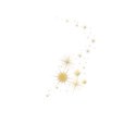 sparkle dust 07 gold
