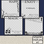 Wisdom Overlays #2 Wisdom Overlays #2