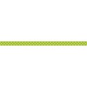 jss_joy_ribbon dotted light green