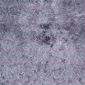 Untitled-9