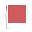 dual_polaroids