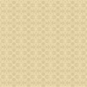 BG Lace 1