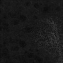 BG 06
