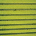 yellow and black corrugated