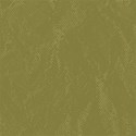 Texture Background