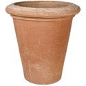 vase_camelia