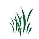 grass1